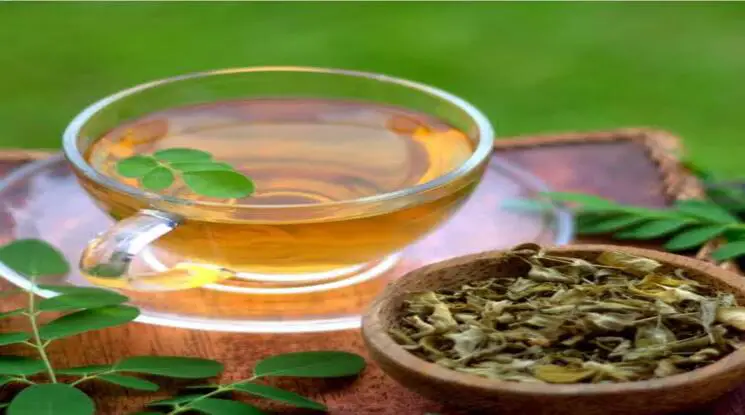 Moringa Tea in Pakistan